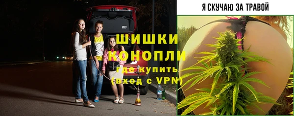 MESCALINE Заводоуковск