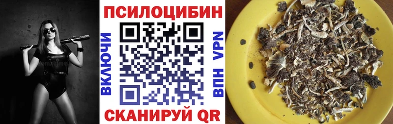 Галлюциногенные грибы Magic Shrooms  Купить закладки  Пущино 