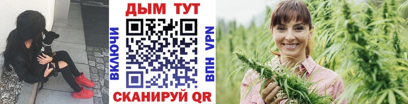 Купить  Пущино  Марихуана марихуана 